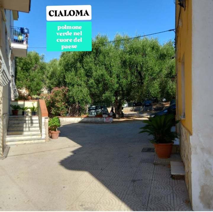 Cialoma Full Green Marina di Camerota Cameră foto